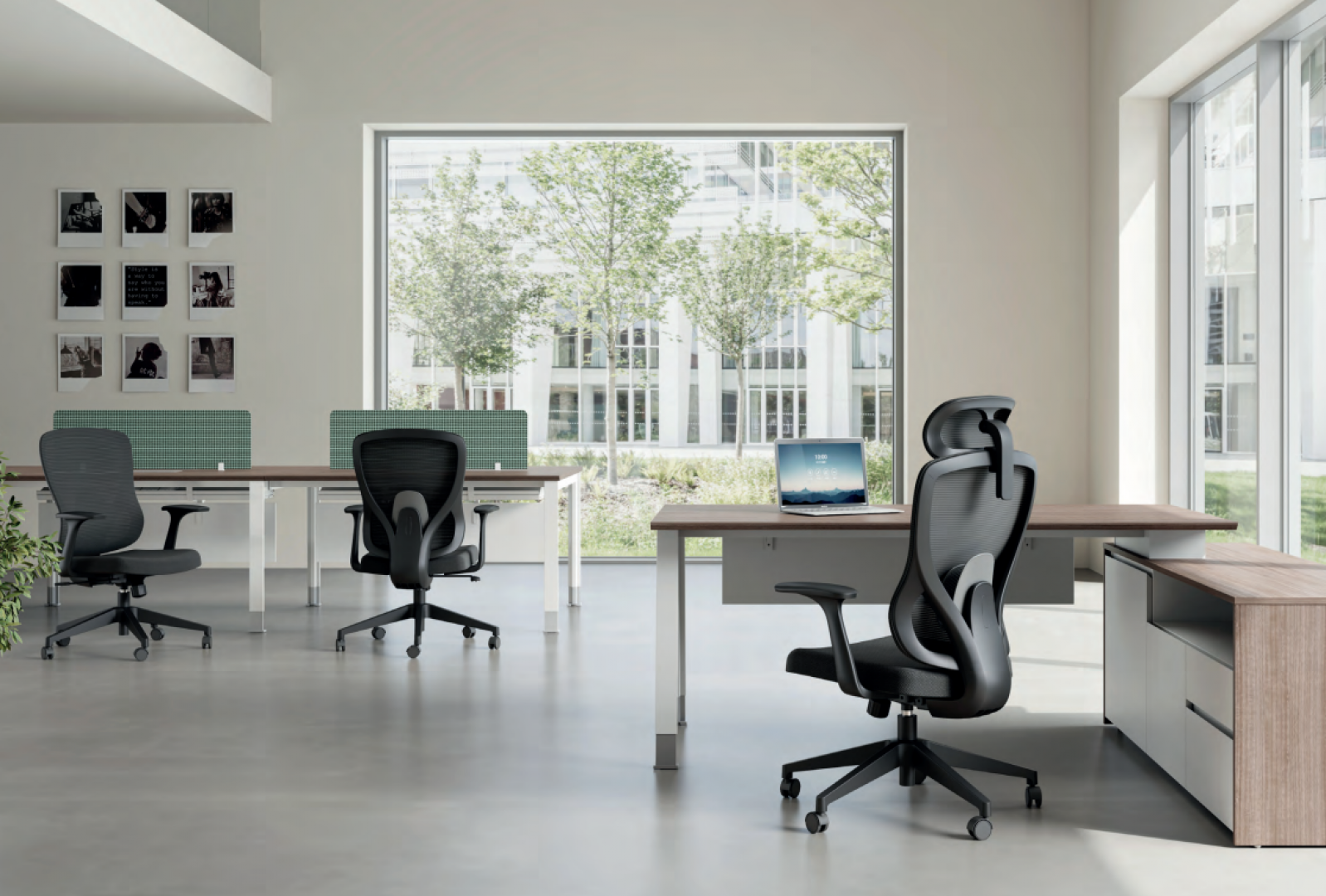 ERGO SERIES-0