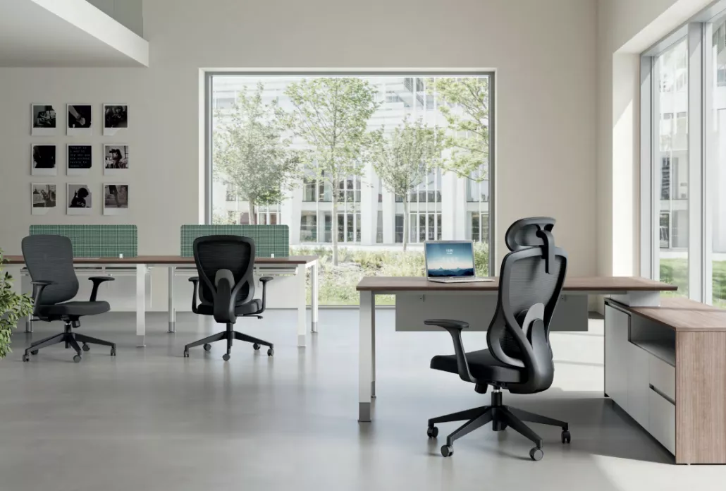 ERGO SERIES