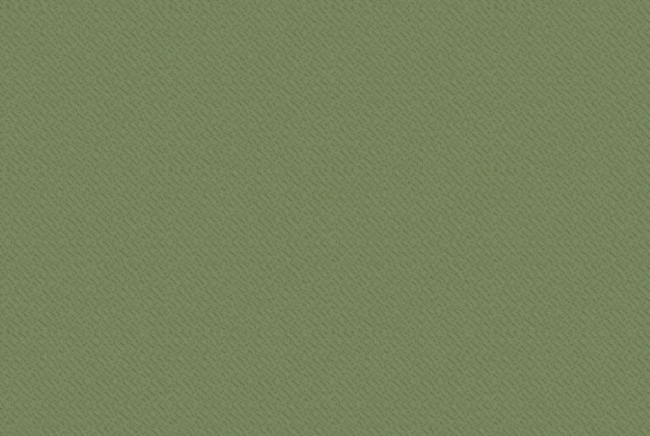 B-TB06 Светло-зелёный