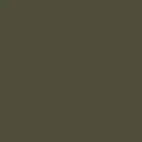 S11-007 Кофейный